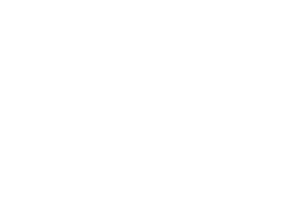 Icon Sportrecht